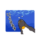 超高速ペンギン2（個別スタンプ：9）