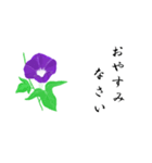 大人の花敬語（個別スタンプ：1）