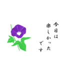 大人の花敬語（個別スタンプ：4）