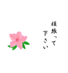 大人の花敬語（個別スタンプ：16）