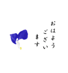 大人の花敬語（個別スタンプ：22）