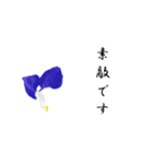 大人の花敬語（個別スタンプ：23）