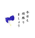 大人の花敬語（個別スタンプ：24）