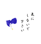 大人の花敬語（個別スタンプ：25）