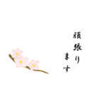 大人の花敬語（個別スタンプ：27）