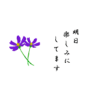 大人の花敬語（個別スタンプ：33）