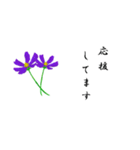 大人の花敬語（個別スタンプ：34）