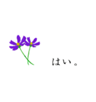 大人の花敬語（個別スタンプ：36）