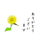 大人の花敬語（個別スタンプ：37）