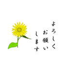 大人の花敬語（個別スタンプ：39）