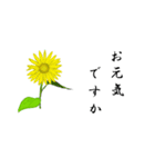 大人の花敬語（個別スタンプ：40）