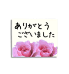 バラの花の付箋（敬語・ビジネス）（個別スタンプ：1）