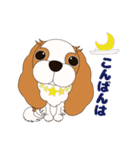 キャバリア犬♪ブレンハイム(白多め)2（個別スタンプ：3）