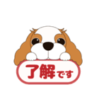 キャバリア犬♪ブレンハイム(白多め)2（個別スタンプ：5）