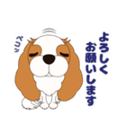 キャバリア犬♪ブレンハイム(白多め)2（個別スタンプ：7）