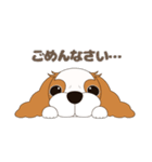 キャバリア犬♪ブレンハイム(白多め)2（個別スタンプ：14）