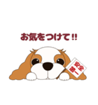 キャバリア犬♪ブレンハイム(白多め)2（個別スタンプ：23）