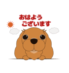 キャバリア犬♪ルビー2（個別スタンプ：1）