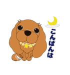 キャバリア犬♪ルビー2（個別スタンプ：3）