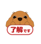 キャバリア犬♪ルビー2（個別スタンプ：5）