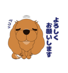 キャバリア犬♪ルビー2（個別スタンプ：7）