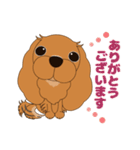 キャバリア犬♪ルビー2（個別スタンプ：8）