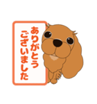 キャバリア犬♪ルビー2（個別スタンプ：12）