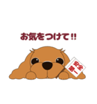 キャバリア犬♪ルビー2（個別スタンプ：23）