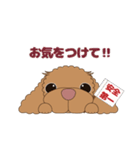 鼻ピンクなプードル犬♪2（個別スタンプ：23）