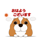 キャバリア犬♪ブレンハイム(白少なめ)2（個別スタンプ：1）