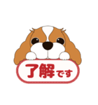 キャバリア犬♪ブレンハイム(白少なめ)2（個別スタンプ：5）