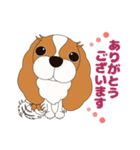 キャバリア犬♪ブレンハイム(白少なめ)2（個別スタンプ：8）