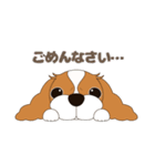 キャバリア犬♪ブレンハイム(白少なめ)2（個別スタンプ：14）