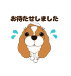 キャバリア犬♪ブレンハイム(白少なめ)2（個別スタンプ：32）