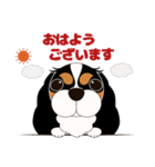 キャバリア犬♪トライカラー2（個別スタンプ：1）