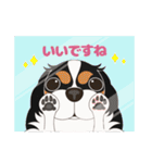 キャバリア犬♪トライカラー2（個別スタンプ：9）