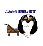 キャバリア犬♪トライカラー2（個別スタンプ：26）