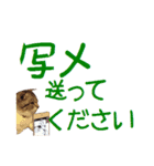 がんも でか文字 敬語（個別スタンプ：32）