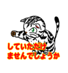 猫と敬語のコミュニケーション（個別スタンプ：23）