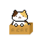 Three Color Cat（個別スタンプ：1）