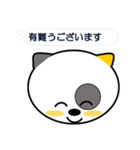 名犬コロ（個別スタンプ：21）