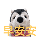 my English is like a husky 2.0（個別スタンプ：2）