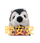 my English is like a husky 2.0（個別スタンプ：3）