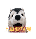 my English is like a husky 2.0（個別スタンプ：5）