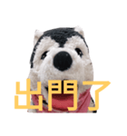 my English is like a husky 2.0（個別スタンプ：7）