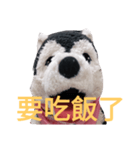 my English is like a husky 2.0（個別スタンプ：11）