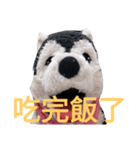 my English is like a husky 2.0（個別スタンプ：12）