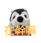 my English is like a husky 2.0（個別スタンプ：13）