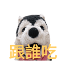 my English is like a husky 2.0（個別スタンプ：14）