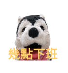 my English is like a husky 2.0（個別スタンプ：15）